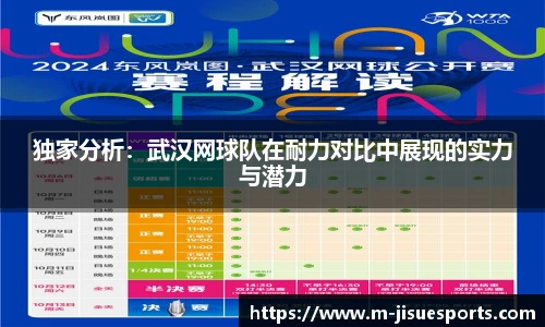 独家分析：武汉网球队在耐力对比中展现的实力与潜力